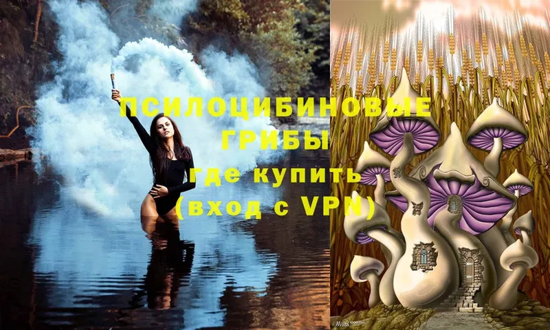 Галлюциногенные грибы Cubensis  Куровское 